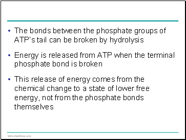 The bonds between the phosphate groups of ATPs tail can be broken by hydrolysis