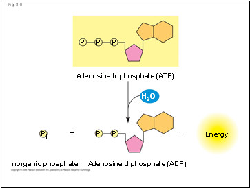 Fig. 8-9