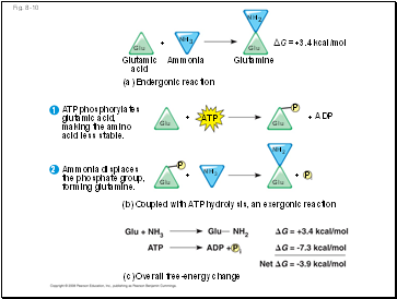 Fig. 8-10