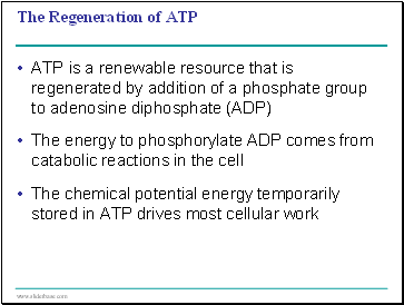 The Regeneration of ATP