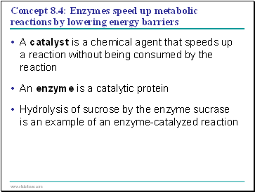Concept 8.4: Enzymes speed up metabolic reactions by lowering energy barriers