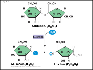 Fig. 8-13