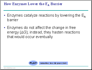 How Enzymes Lower the EA Barrier