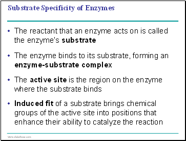 Substrate Specificity of Enzymes