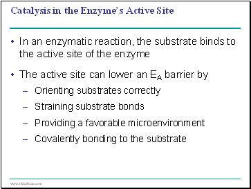 Catalysis in the Enzymes Active Site