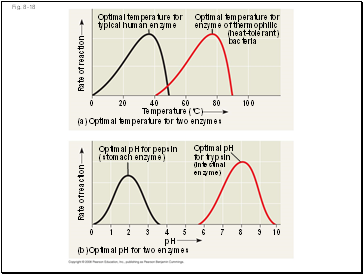 Fig. 8-18