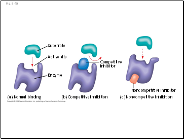 Fig. 8-19