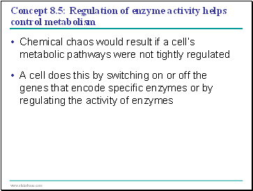 Concept 8.5: Regulation of enzyme activity helps control metabolism