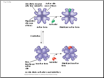 Fig. 8-20a