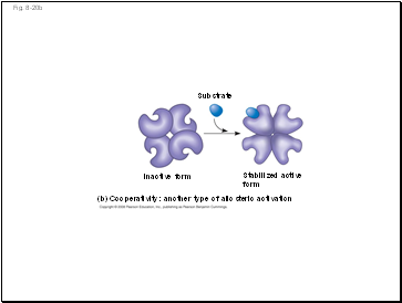 Fig. 8-20b