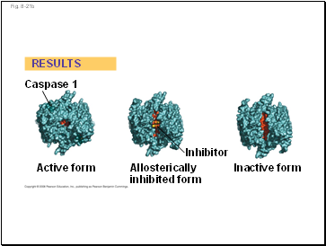 Fig. 8-21b