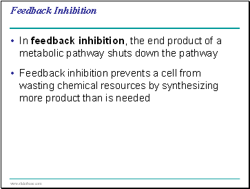 Feedback Inhibition