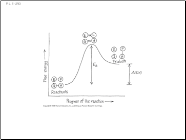 Fig. 8-UN3