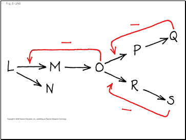 Fig. 8-UN5