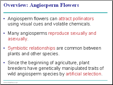 Angiosperm Reproduction and Biotechnology