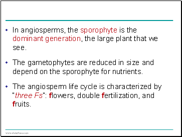 In angiosperms, the sporophyte is the dominant generation, the large plant that we see.