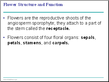 Flower Structure and Function