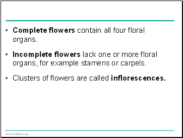 Complete flowers contain all four floral organs.