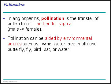 Pollination