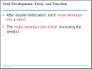 Seed Development, Form, and Function