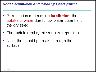 Seed Germination and Seedling Development