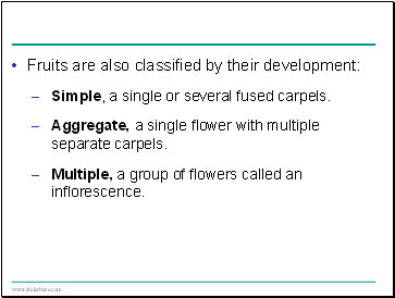 Fruits are also classified by their development: