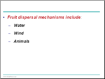 Fruit dispersal mechanisms include: