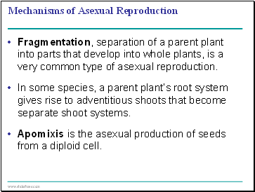 Mechanisms of Asexual Reproduction