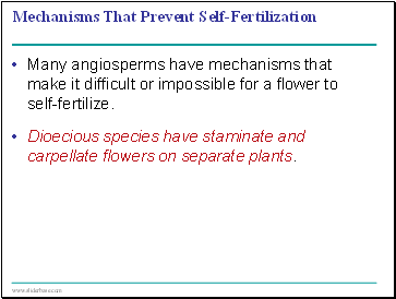 Mechanisms That Prevent Self-Fertilization