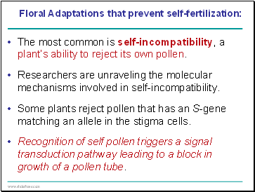 The most common is self-incompatibility, a plants ability to reject its own pollen.