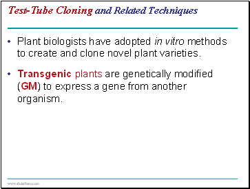 Test-Tube Cloning and Related Techniques