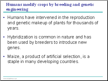 Humans modify crops by breeding and genetic engineering