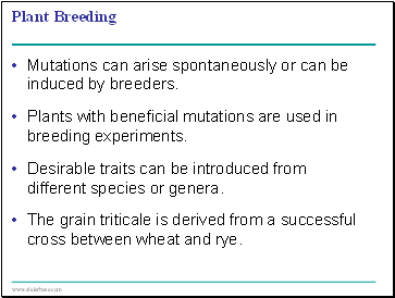 Plant Breeding