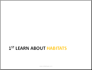 1st learn about habitats