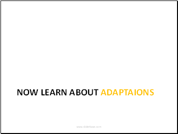 Now learn about adaptaions