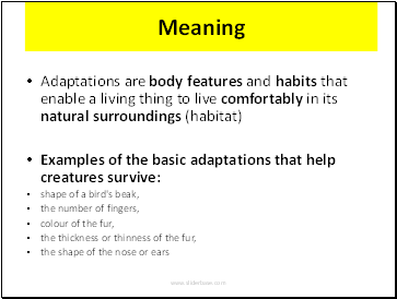 Meaning