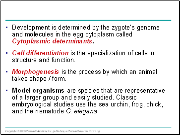 Development is determined by the zygotes genome and molecules in the egg cytoplasm called Cytoplasmic determinants.