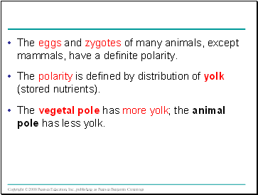 The eggs and zygotes of many animals, except mammals, have a definite polarity.