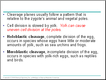Cleavage planes usually follow a pattern that is relative to the zygotes animal and vegetal poles.