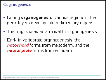 Organogenesis