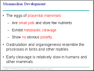 Mammalian Development
