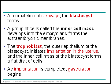At completion of cleavage, the blastocyst forms.