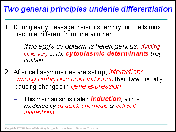 Two general principles underlie differentiation