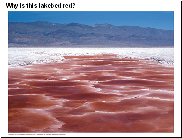Why is this lakebed red?