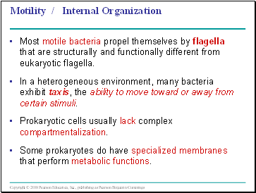 Motility / Internal Organization