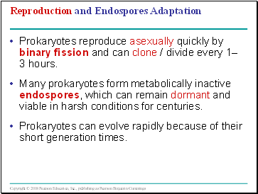 Reproduction and Endospores Adaptation