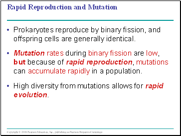 Rapid Reproduction and Mutation