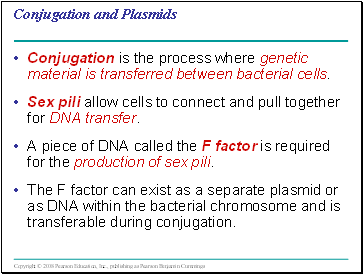 Conjugation and Plasmids