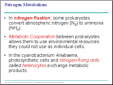 Nitrogen Metabolism