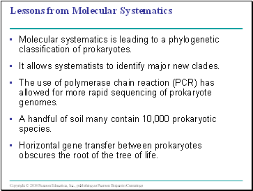 Lessons from Molecular Systematics